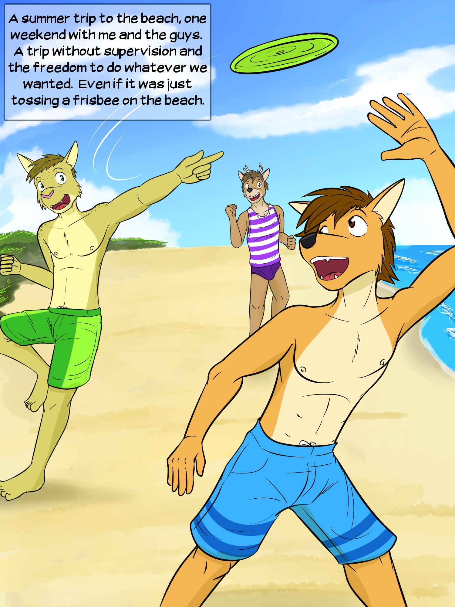 Page 3